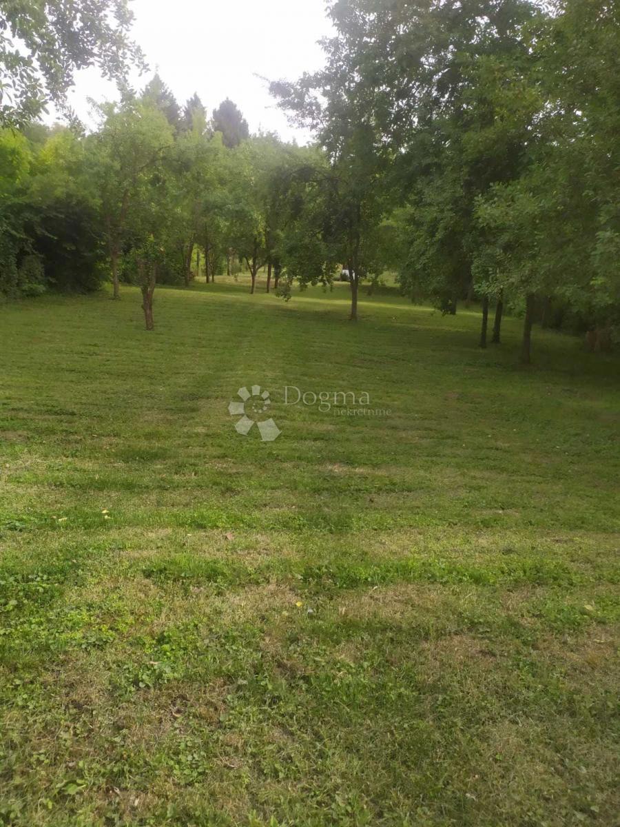 Hiša Dalj, Erdut, 2.331m2