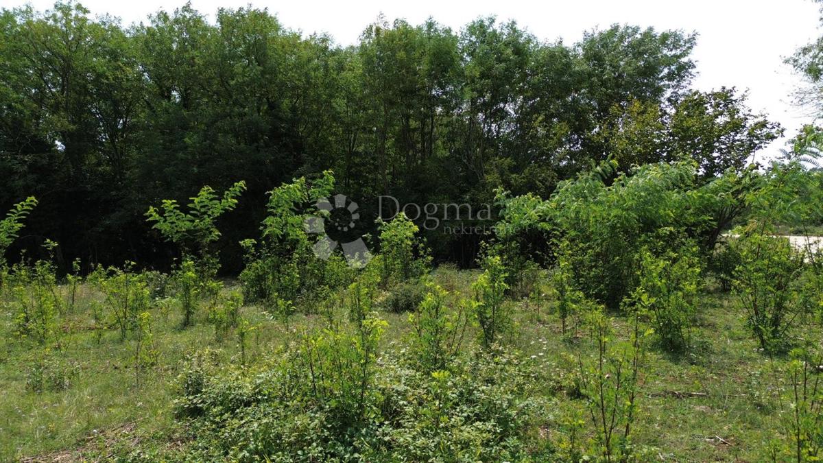 Zazidljivo zemljišče Labin, 4.460m2