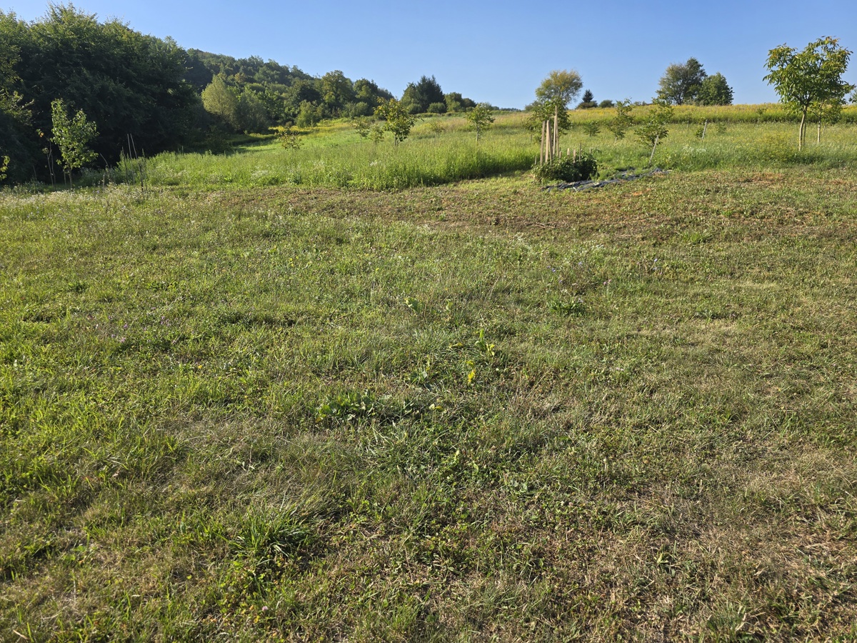Hiša Kapela Kalnička, Ljubešćica, 45m2