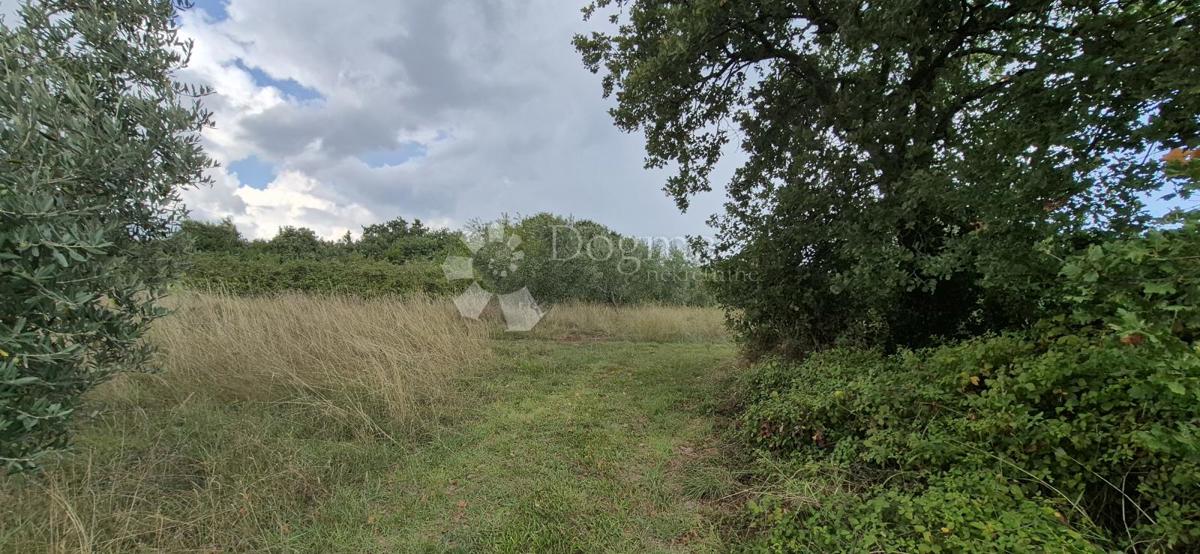 Kmetijsko zemljišče Kavran, Marčana, 1.173m2
