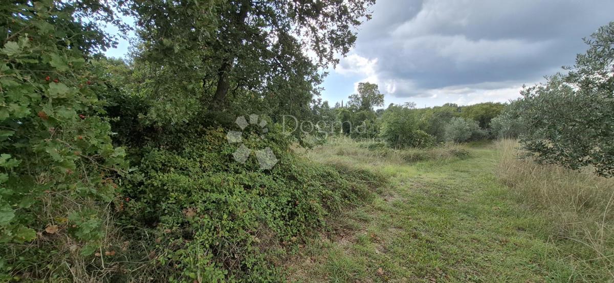 Kmetijsko zemljišče Kavran, Marčana, 1.173m2
