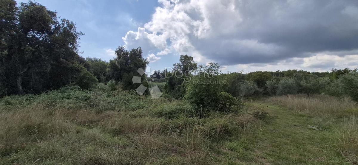 Kmetijsko zemljišče Kavran, Marčana, 1.173m2