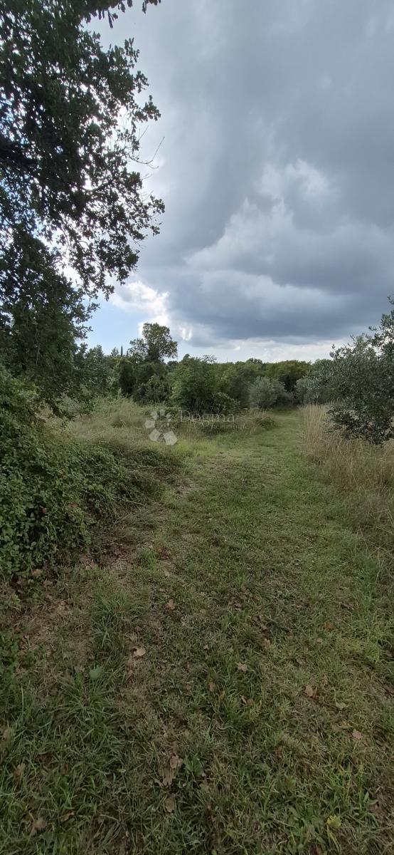 Kmetijsko zemljišče Kavran, Marčana, 1.173m2