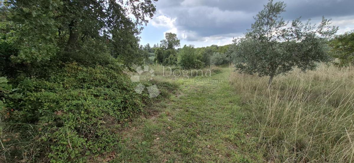 Kmetijsko zemljišče Kavran, Marčana, 1.173m2