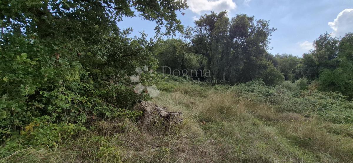 Kmetijsko zemljišče Kavran, Marčana, 1.173m2