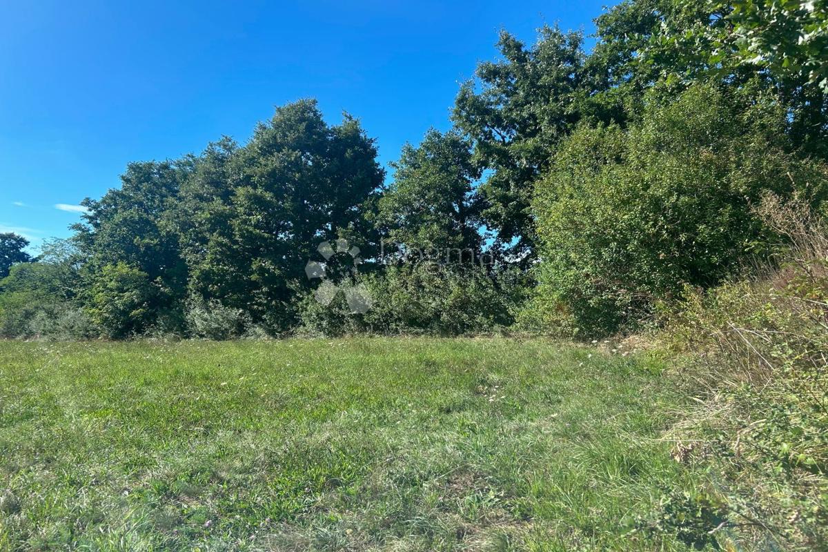 Zazidljivo zemljišče Žminj, 1.252m2