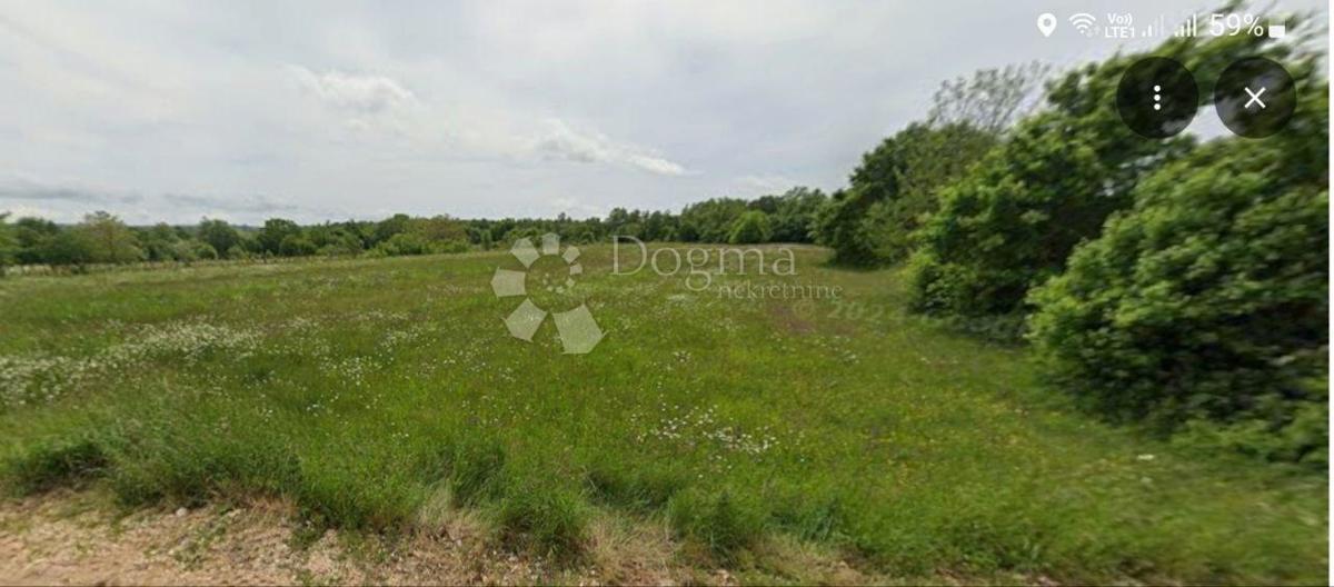 Zazidljivo zemljišče Domijanići, Žminj, 2.580m2