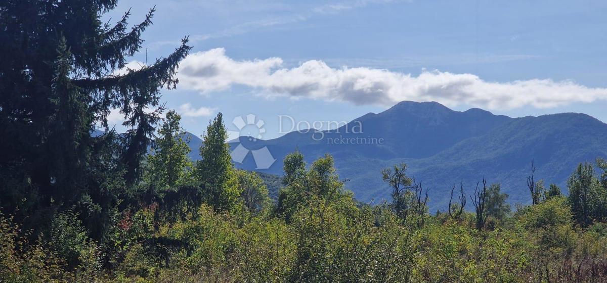 Kmetijsko zemljišče Divoselo, Gospić - Okolica, 11.300m2