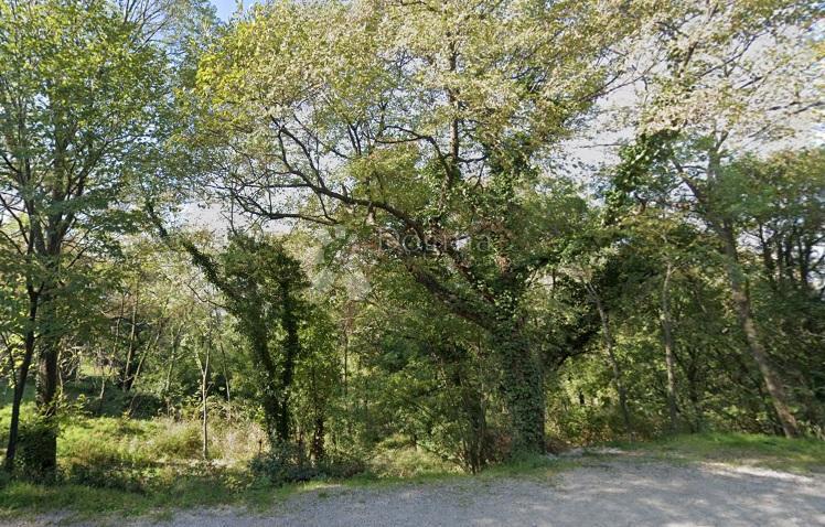 Kmetijsko zemljišče Grižane-Belgrad, Vinodolska Općina, 3.164m2