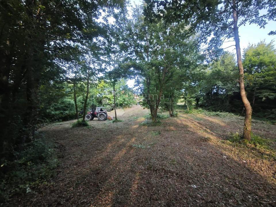 Zazidljivo zemljišče Stari Pazin, Pazin, 1.209m2