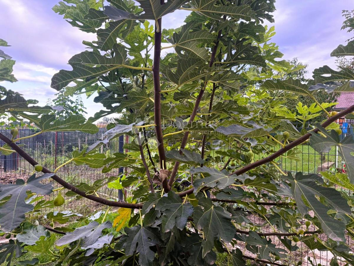 Hiša Gornji Kuršanec, Nedelišće, 135m2