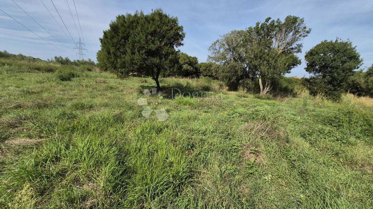 Površina stavbnega zemljišča 541m2