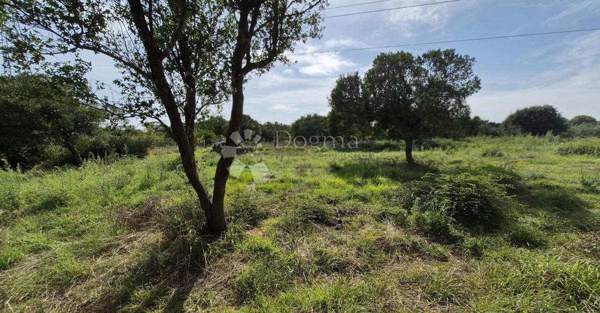 Površina stavbnega zemljišča 541m2