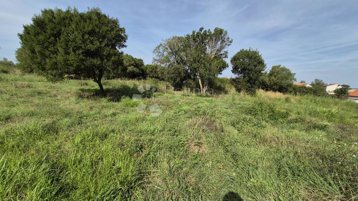 Površina stavbnega zemljišča 541m2