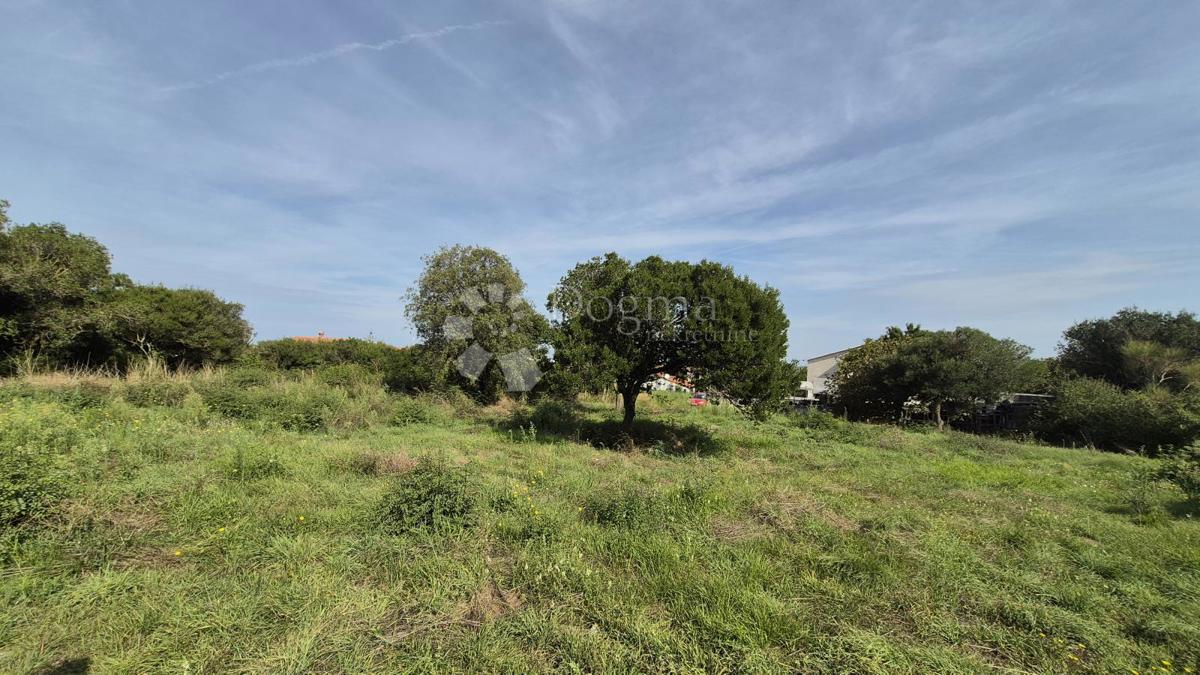 Površina stavbnega zemljišča 541m2