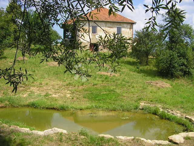 Hiša Pofuki, Gornja Rijeka, 500m2