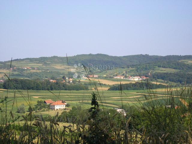 Hiša Pofuki, Gornja Rijeka, 500m2