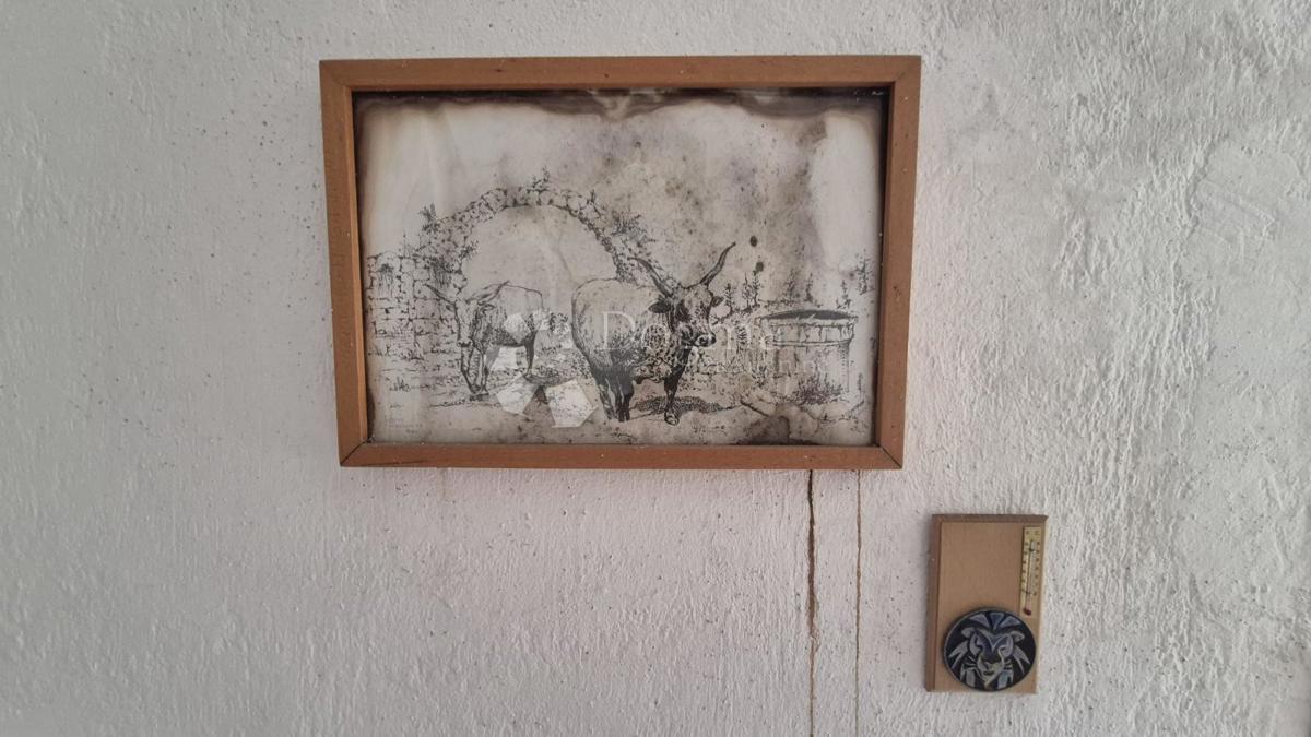 Družinsko posestvo v bližini Žminja