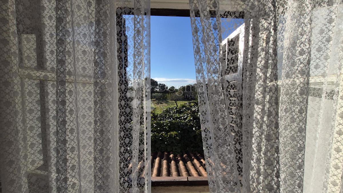 Družinsko posestvo v bližini Žminja