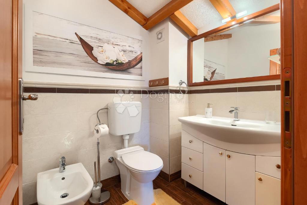 Hiša Smoljanci, Svetvinčenat, 250m2