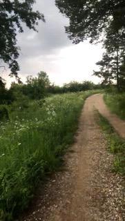 Kmetijsko zemljišče Tržić Primišljanski, Slunj, 81.806m2