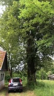 Kmetijsko zemljišče Tržić Primišljanski, Slunj, 81.806m2