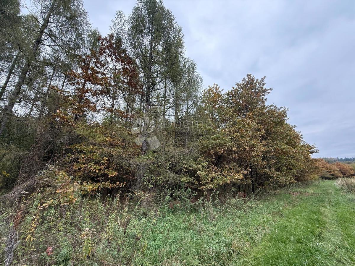 Kmetijsko zemljišče Čalinec, Maruševec, 1.446m2