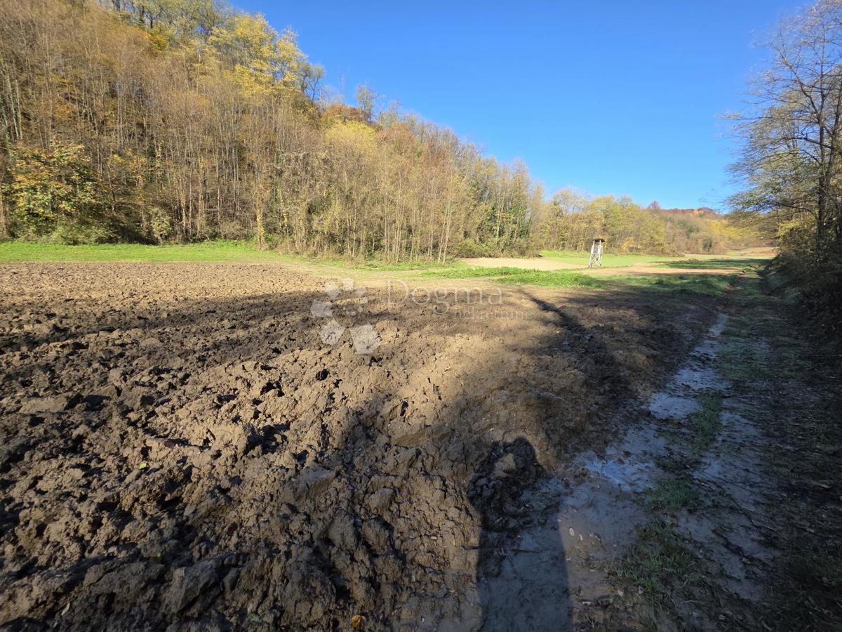 Zemljišče Selno, Krapinske Toplice, 3.938m2