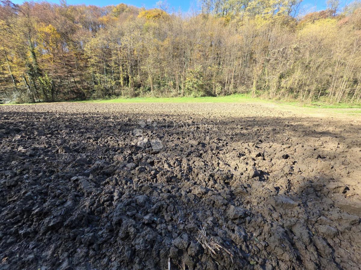 Zemljišče Selno, Krapinske Toplice, 3.938m2