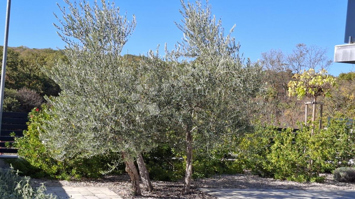 Hiša Kornić, Krk, 150m2