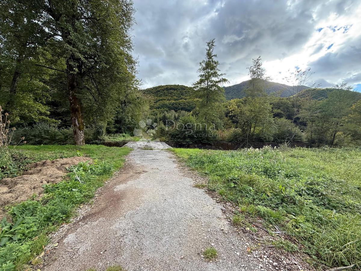 ŽITNIK ZAZIDLJIVO ZEMLJIŠČE 13000 m2