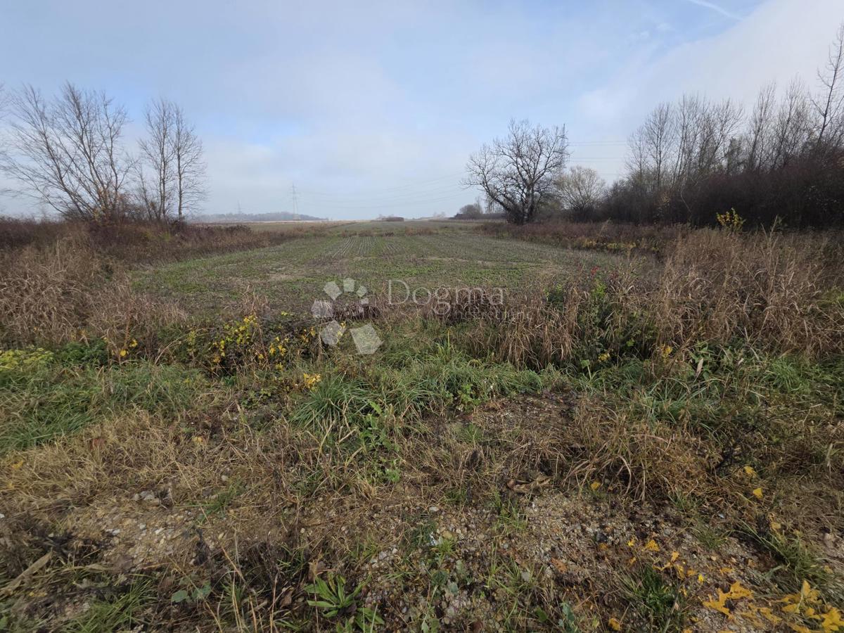 Kmetijsko zemljišče Oborovo, Rugvica, 5.206m2