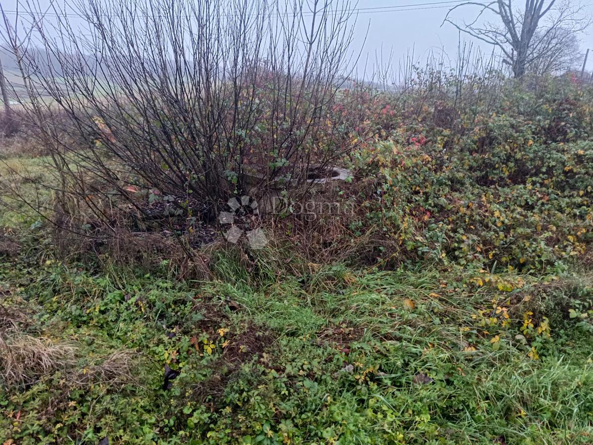 Zazidljivo zemljišče Bratina, Pisarovina, 7.079m2