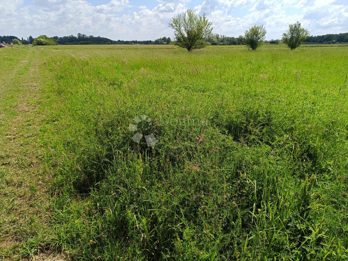 Zazidljivo zemljišče Donja Zdenčina, Klinča Sela, 9.600m2