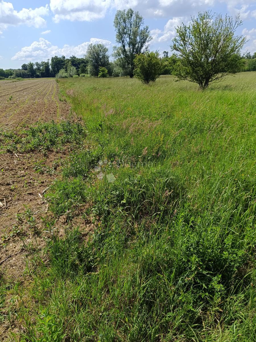 Zazidljivo zemljišče Donja Zdenčina, Klinča Sela, 9.600m2