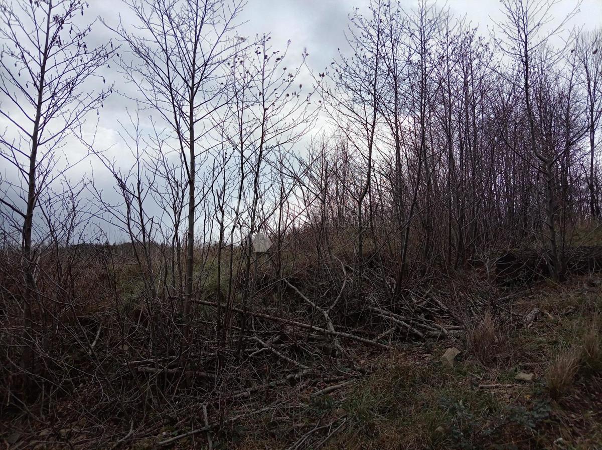 Zazidljivo zemljišče Klana, 1.027m2