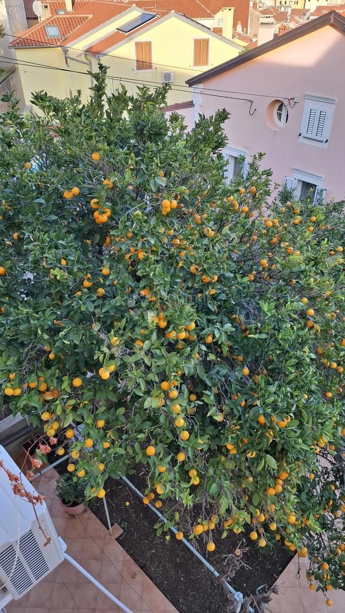 Apartma Mali Lošinj, 88,80m2