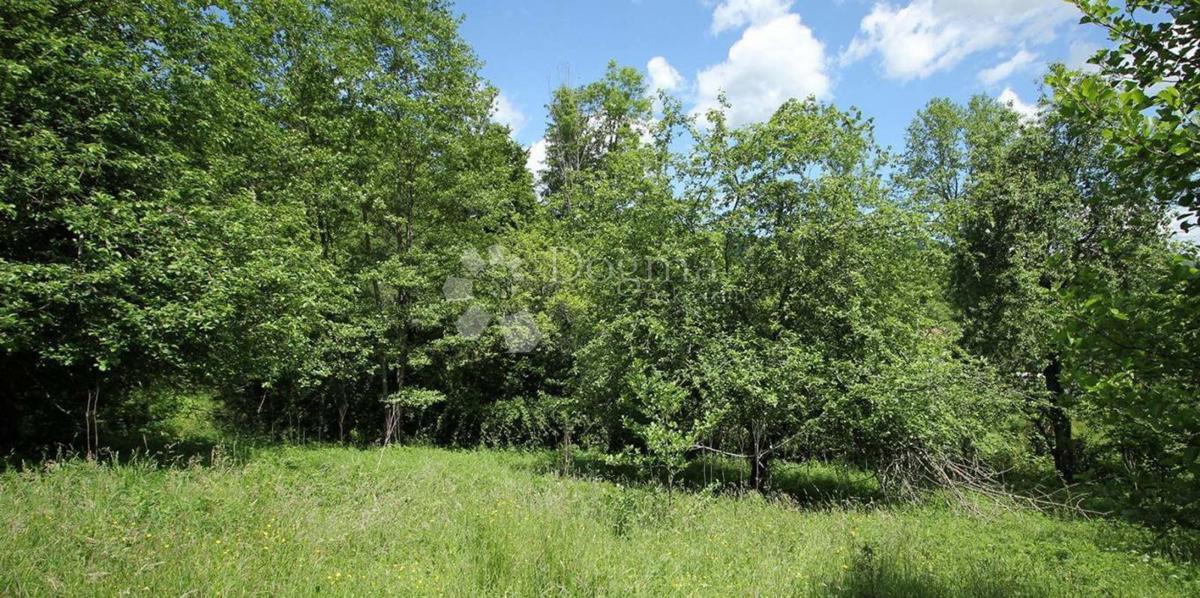 Kmetijsko zemljišče Lič, Fužine, 2.935m2