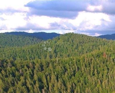 Kmetijsko zemljišče Lič, Fužine, 2.935m2