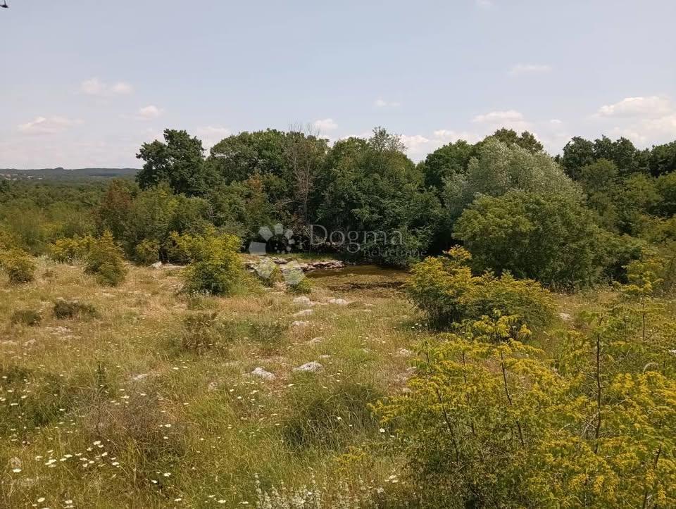 Kmetijsko zemljišče Čabrunići, Svetvinčenat, 1.315m2