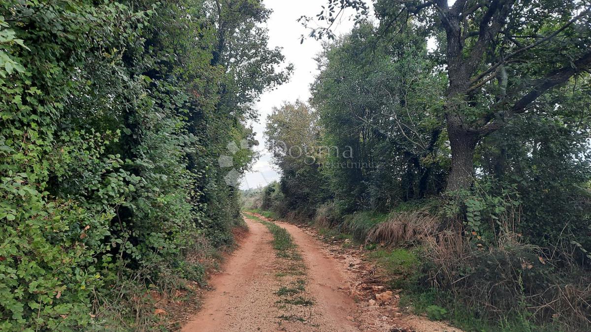 Kmetijsko zemljišče Jadreški, Ližnjan, 500m2