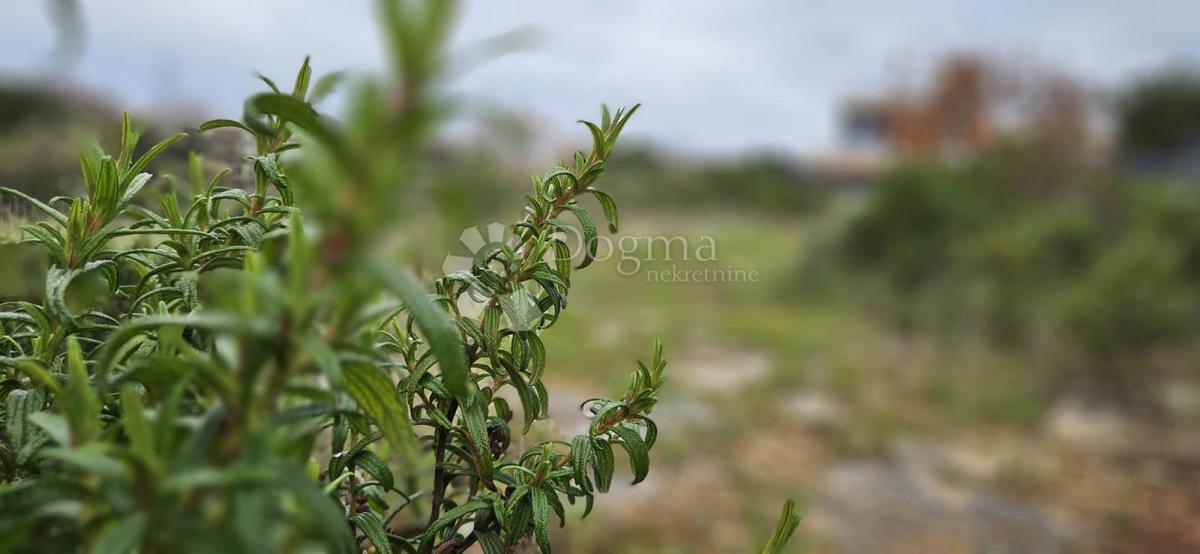 Zazidljivo zemljišče Barbariga, Vodnjan, 534m2