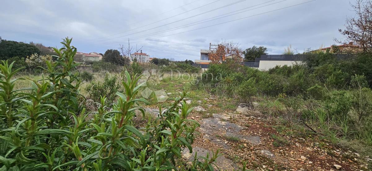 Zazidljivo zemljišče Barbariga, Vodnjan, 534m2