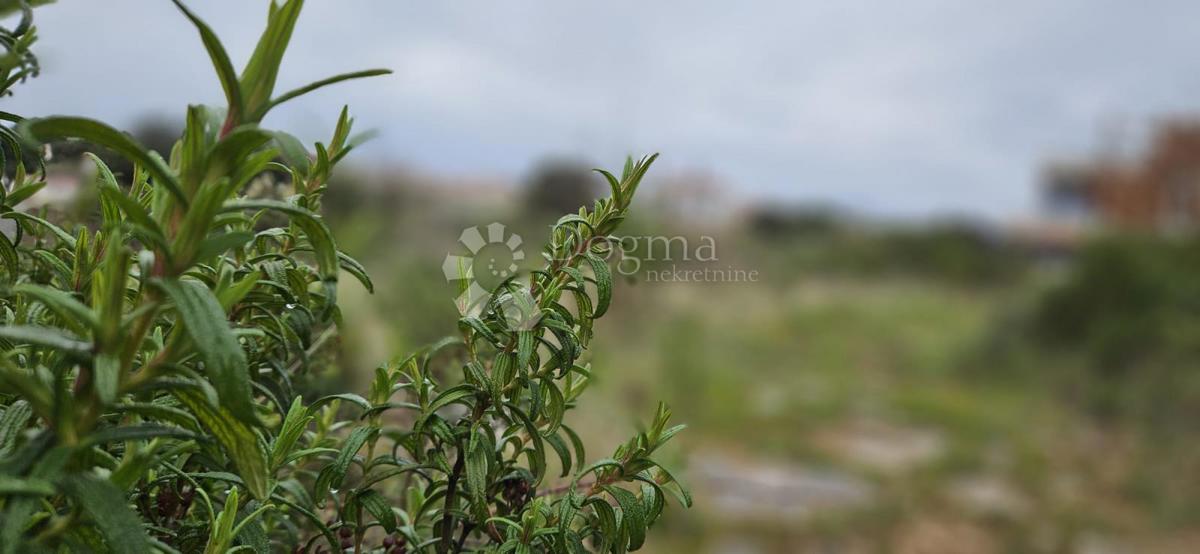 Zazidljivo zemljišče Barbariga, Vodnjan, 534m2