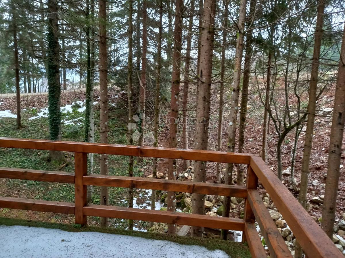 Gozdni bungalov z zasebnim SPA-jem