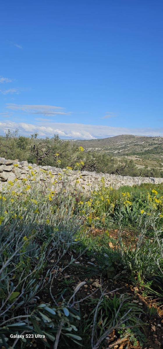 Kmetijsko zemljišče Ložnice, Primošten, 2.484m2