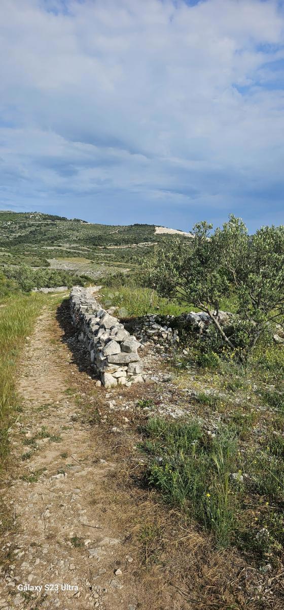 Kmetijsko zemljišče Ložnice, Primošten, 2.484m2