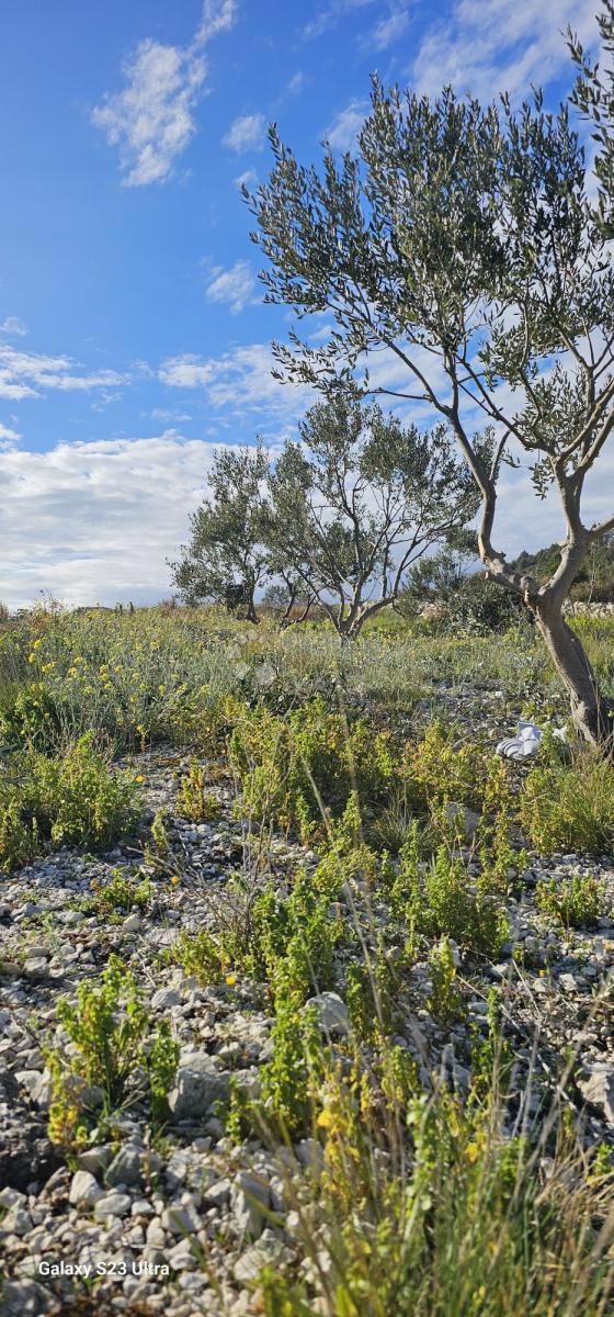 Kmetijsko zemljišče Ložnice, Primošten, 2.484m2