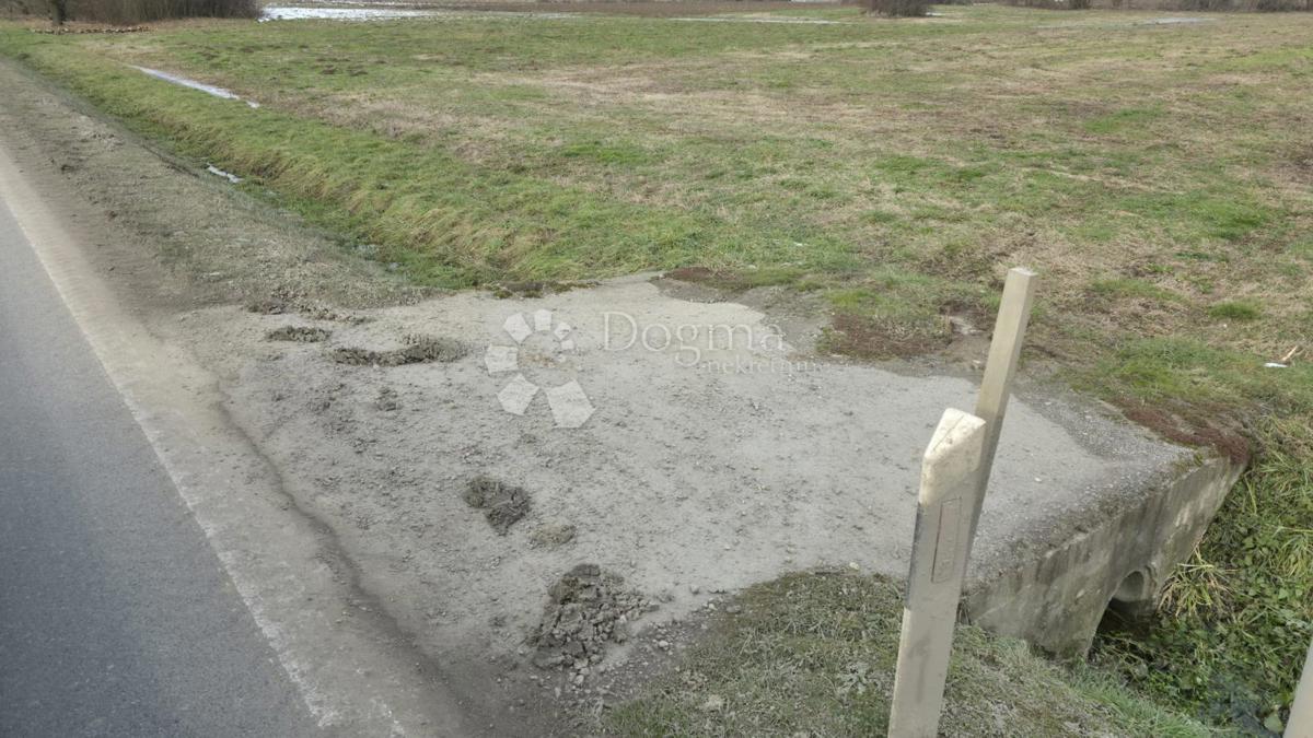 Zazidljivo zemljišče Veliko Korenovo, Bjelovar - Okolica, 6.124m2