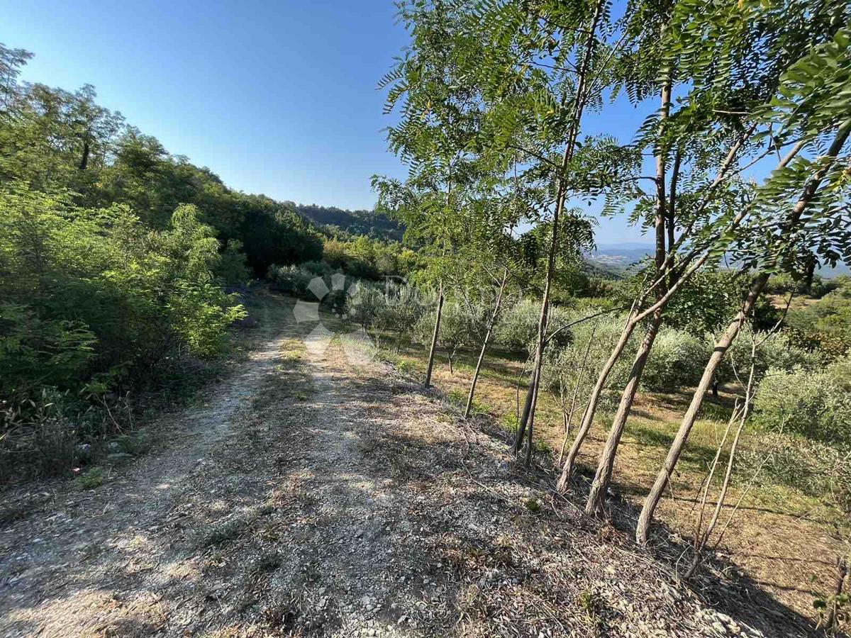 Zemljišče Gračišće, 4.067m2